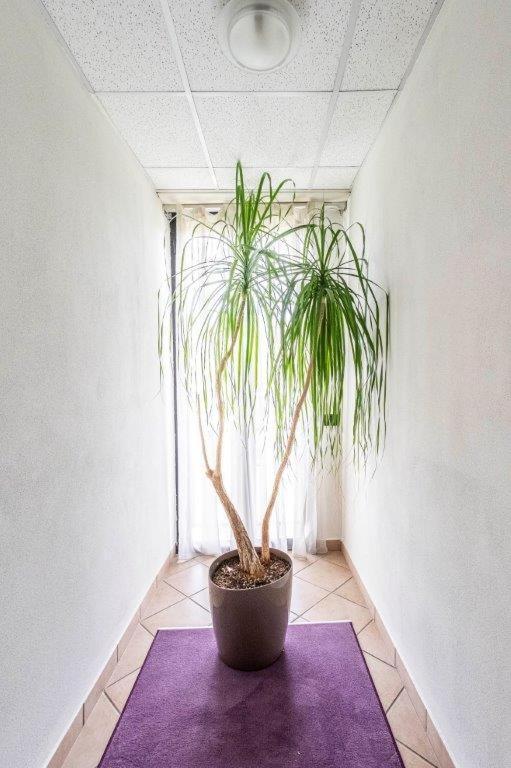 Hotel Le Palme (Adults Only) Дормеллетто Екстер'єр фото